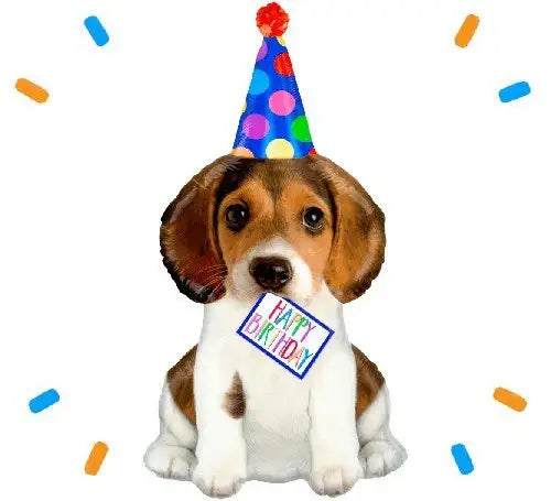 Happy Birthday Puppy Helium Ballon - Gevuld Met Helium - 94 cm - Ballonnenshop.nl