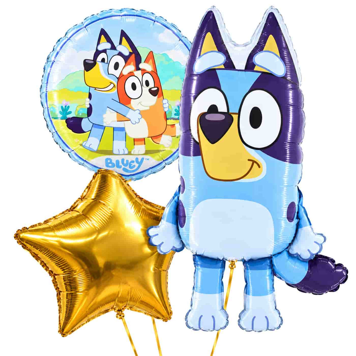 Bluey Trosje – heliumgevulde ballonnen met dunne gouden lintjes op een witte achtergrond