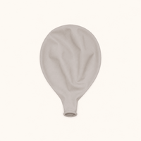 Dune Ballonnen Vintage 10 Stuks 30 cm - Ballonnenshop.nl
