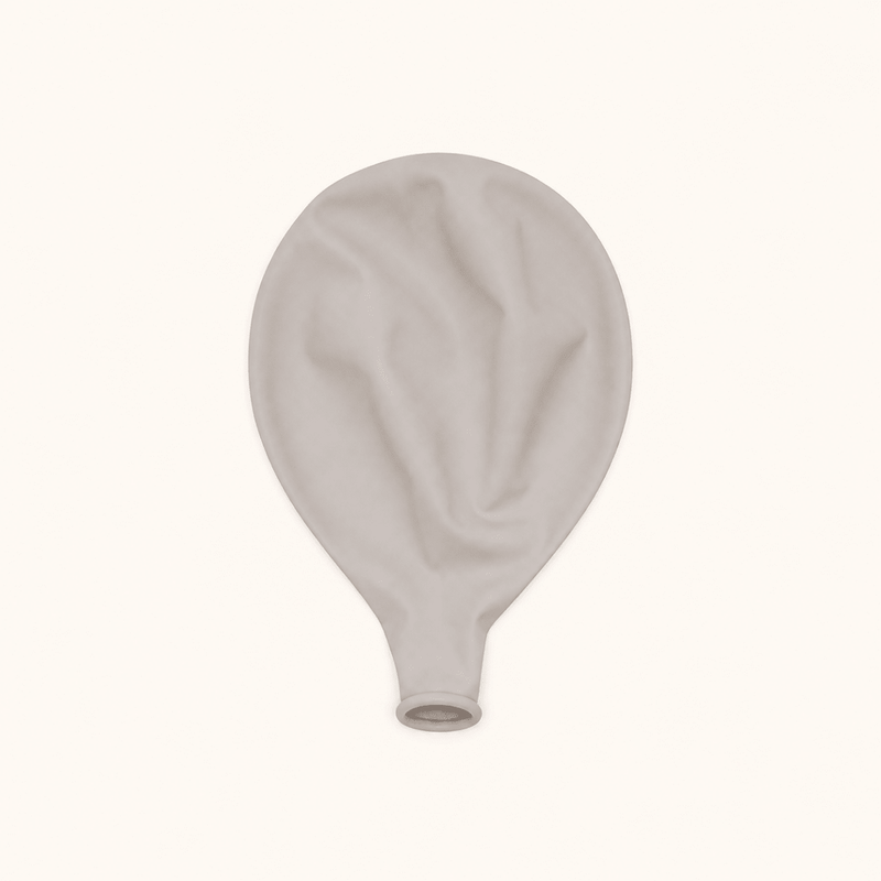 Dune Ballonnen Vintage 10 Stuks 30 cm - Ballonnenshop.nl