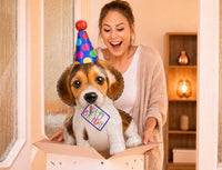 Happy Birthday Puppy Helium Ballon - Gevuld Met Helium - 94 cm - Ballonnenshop.nl