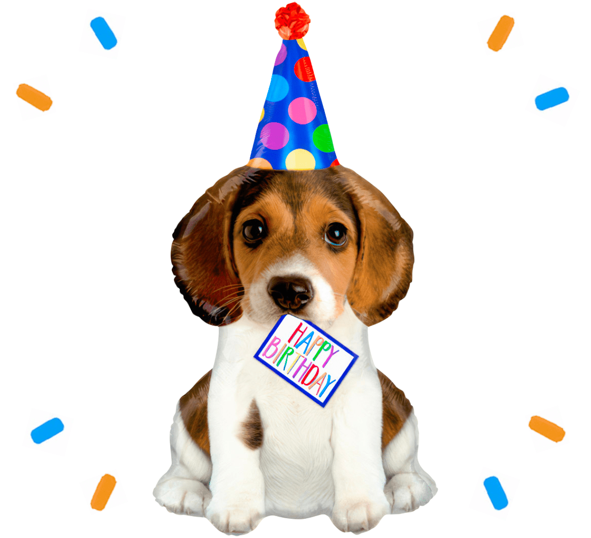 Happy Birthday Puppy Helium Ballon - Gevuld Met Helium - 94 cm - Ballonnenshop.nl