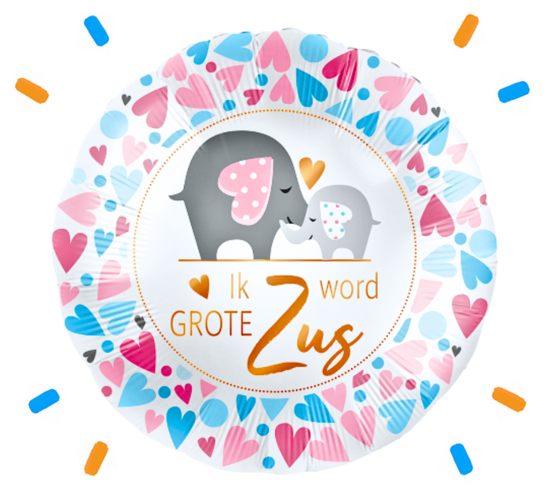 Ik Word Grote Zus Helium Ballon - Gevuld Met Helium - 46 cm - Ballonnenshop.nl