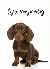 Kaartje met persoonlijk bericht Verjaardag - Ballonnenshop.nl