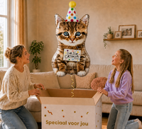 Kat Cue The Catfetti Helium Ballon - Gevuld Met Helium - 91 cm - Ballonnenshop.nl