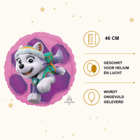 Skye & Everest - Paw Patrol - Folie Ballon - 46 cm - Ballonnenshop.nl