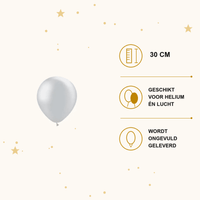 Zilveren Ballonnen Metallic 10 Stuks 30 cm - Ballonnenshop.nl